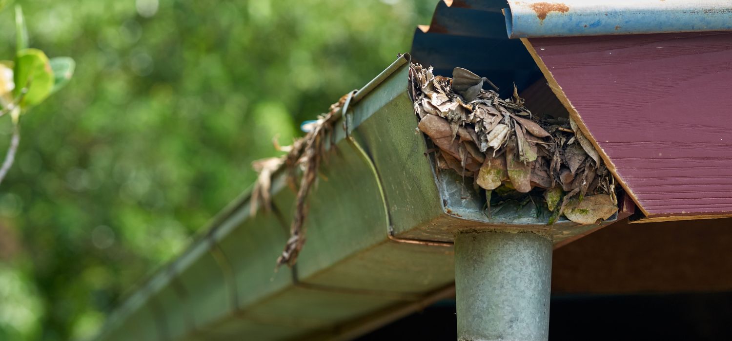 Clogged roof gutter filled with leaves and debris, blocking water flow and increasing the risk of roof leaks and water damage.