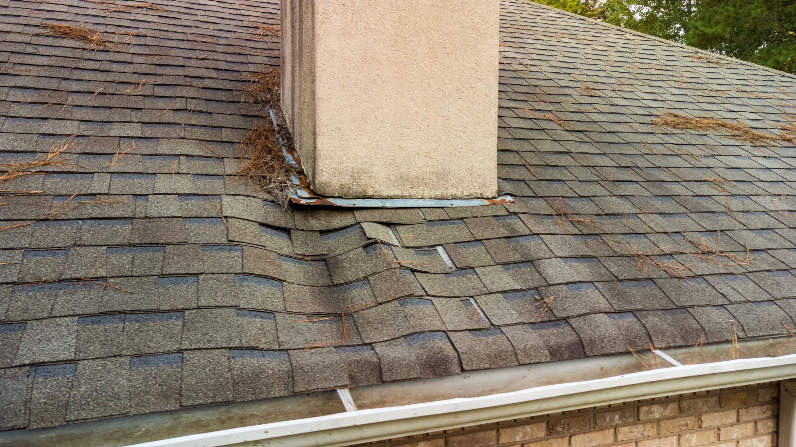 Roof and asphalt shingles damaged from a bad water leak.